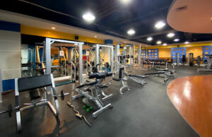 معهد qq سيبو الفلبين كيوكيو