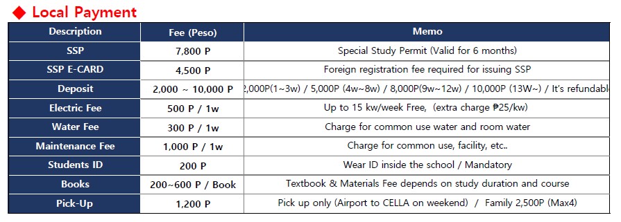 الرسوم الحكومية cella academy cebu